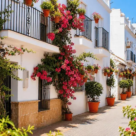 Azul Aparthotel 4*